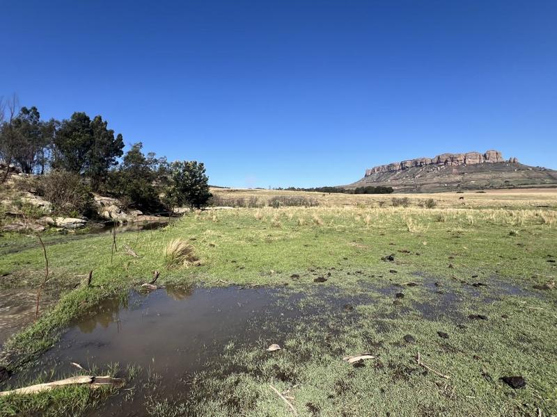 0 Bedroom Property for Sale in Harrismith Free State